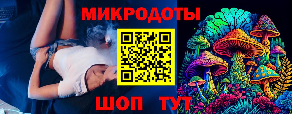 Псилоцибиновые грибы мицелий Ковров